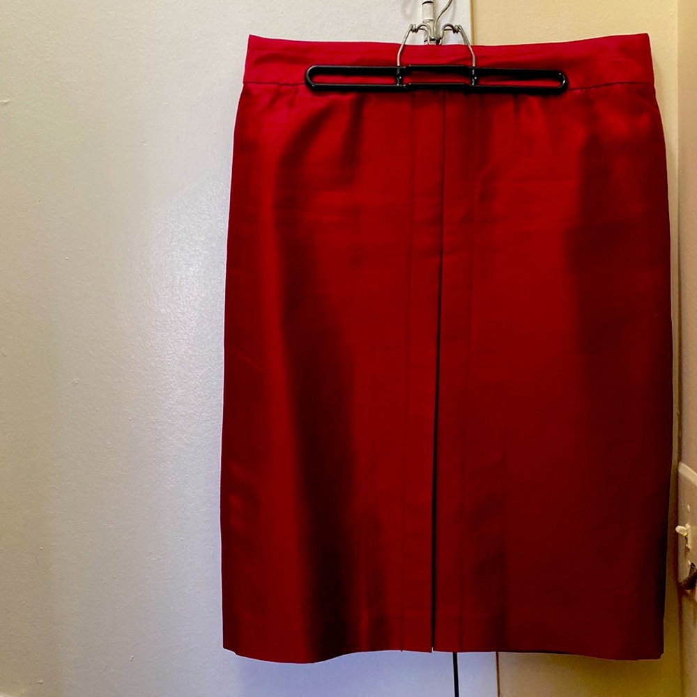 Stunning Dress Silk Skirt